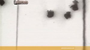 Только История: Гибель соединения Z. Битва у Куантана.