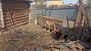 Ломаю дом зайчат. Доделали теплицу.