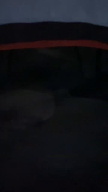 Первая ночевка в доме без крыши , окон и полов 😁 #дача # смотреть онлайн