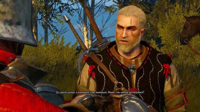 Ведьмак 3 - Тёплый прием (Велен) смотреть онлайн