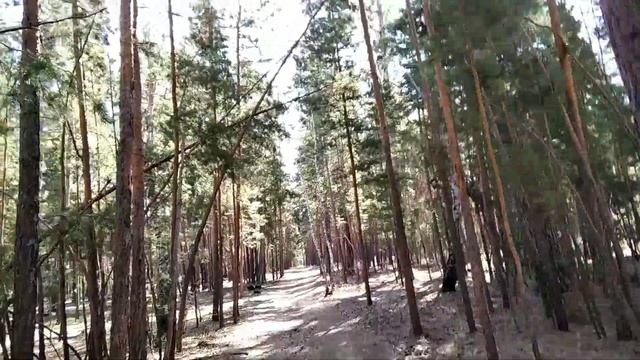 Влог . Последний день на базе отдыха . Смотрим уточек. смотреть онлайн