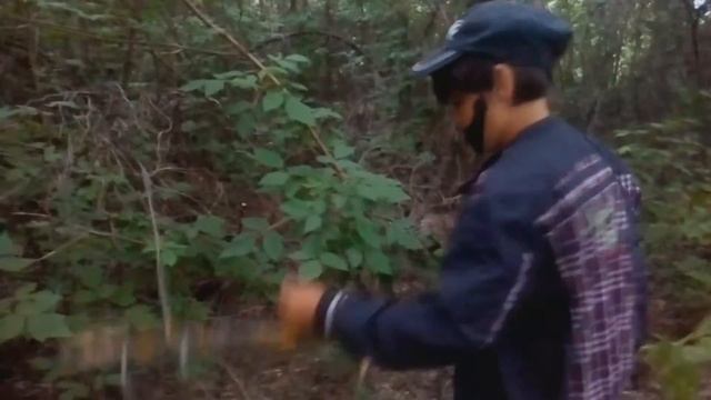Выживание в лесу с алкашами часть 1 смотреть онлайн