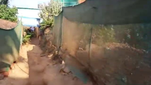 Озеро в Арамболь гоа . Как доить .Рынок в арамболе