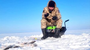 КРУПНАЯ ТАРАНЬ ЗИМОЙ возле ПЛОТИНЫ Весёловского водохранилища!