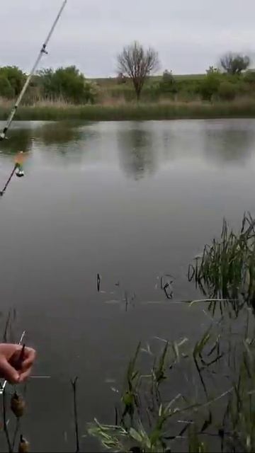 Рыбалка Кривой Рог смотреть онлайн