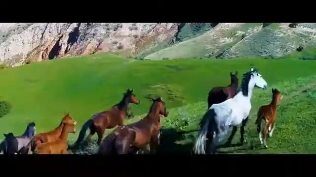 Неповторимая природа Таджикистана смотреть онлайн
