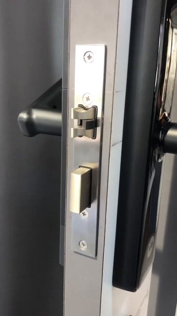 Biometric Door Lock #Lock #door #shorts