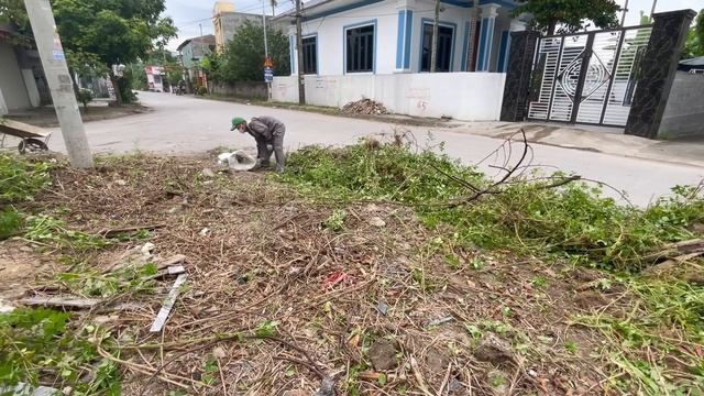 Overgrown Cleanup Morning To Dusk Cleanup Completed Overgrown Lawn On Sidewalk