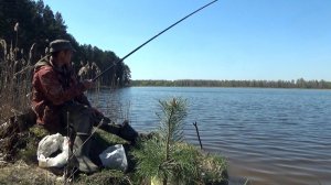 Ловля плотвы на поплавок на удочку! Плотва вышла под берег!