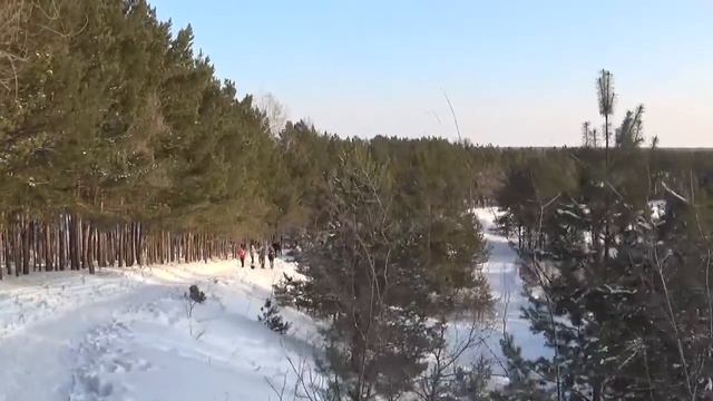 Зимой в лесу смотреть онлайн