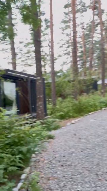 Заселились в эко отель смотреть онлайн