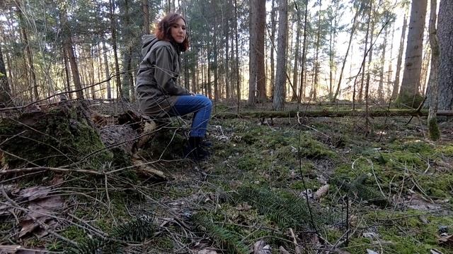 Поход выходного дня в лес смотреть онлайн