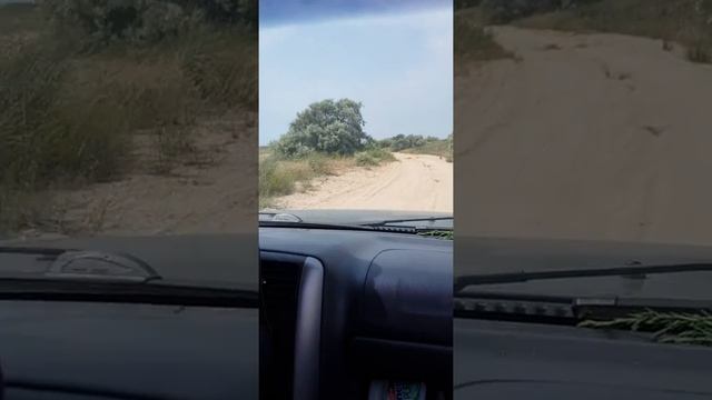 Чистые дюны 2019 дорога смотреть онлайн