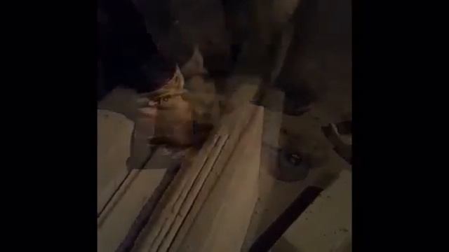 Инструмент для устройства борозды Камал 3 оч 03 02 2017 смотреть онлайн
