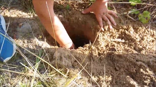 Поход, 5 класс смотреть онлайн