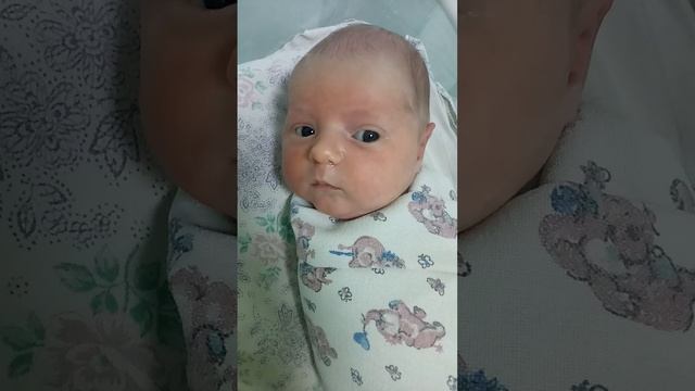 Арина 1 месяц смотреть онлайн