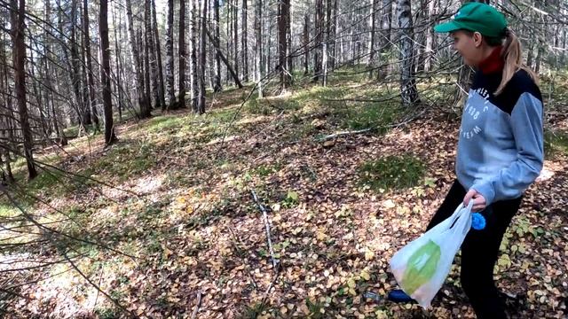Пошли проверить старые места, но нас ждал сюрприз!!! ЛИСИЧКИ / 7 серия смотреть онлайн