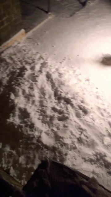 Прыжки с крыши