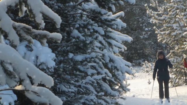 ЗИМОЙ смотреть онлайн