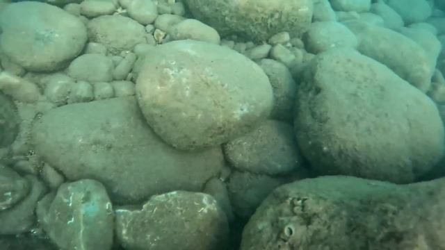 ТУРЦИЯ 2024 🇹🇷 Tal Beach Hotel 3* Кемер Питание пляж