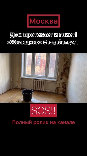 Гниющие этажи дома, протекающая крыша и 30 заболевших ж смотреть онлайн
