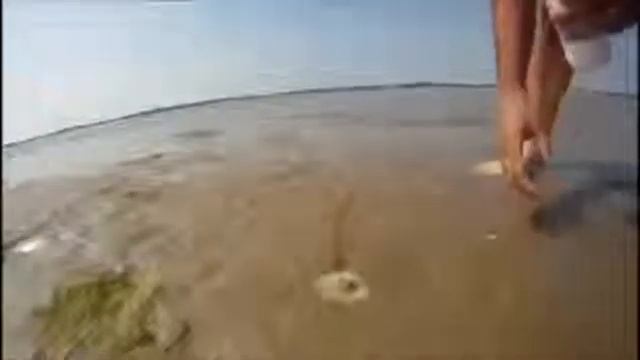 Новые приколы!!! Это необъяснимо смотреть онлайн