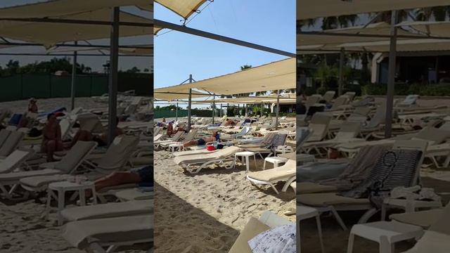 Timo Resort Hotel 5*, Алания Конаклы, пляж #turkishhotel #travel  #alanyahotel#timohotel