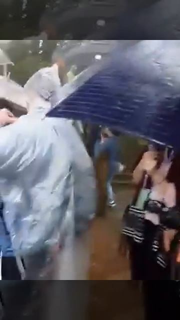 Так растет сосна Массона на озере 1000 островов! Мы видели все своими собственными глазами смотреть онлайн