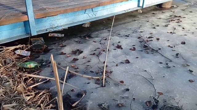 Хвастовичи, вот что тут смотреть онлайн