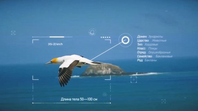 Трекинг (интеграция графики в видео) смотреть онлайн