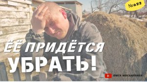 Мы 3 раза давали ей шанс. Омск Москаленки жизнь в деревне.