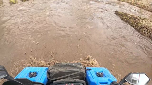 22 апреля 2025 г. смотреть онлайн