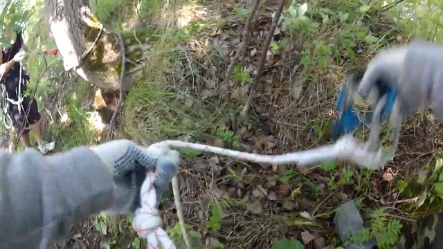 Турслет по начальной технике горного туризма - команда Адреналин смотреть онлайн