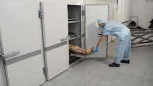 История  про морг