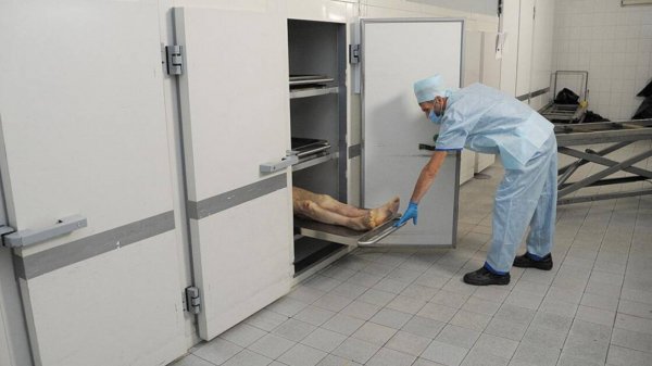 История про морг