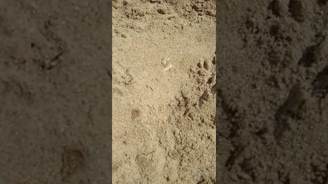 Станица Благовещенская. Коса. Отдых. Рай смотреть онлайн