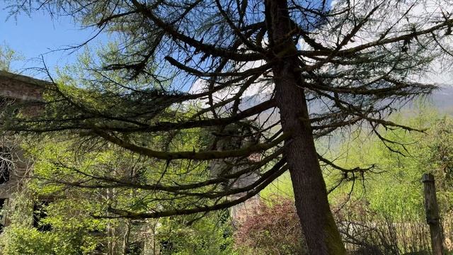 Абхазия,23-04-2025