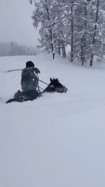 замело смотреть онлайн