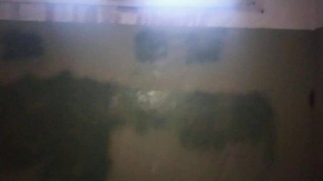 Лифт ЩЛЗ 2009 Q-400 кг V-1м/с. Г. Екатеринбург смотреть онлайн