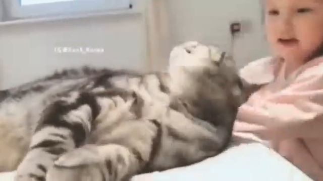 BIKINN GEMESH PERSAHABATAN KUCING DENGAN MANUSIA!!!! смотреть онлайн