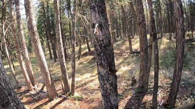 My First Time Airsoft Sniping [Novritsch SSG10]