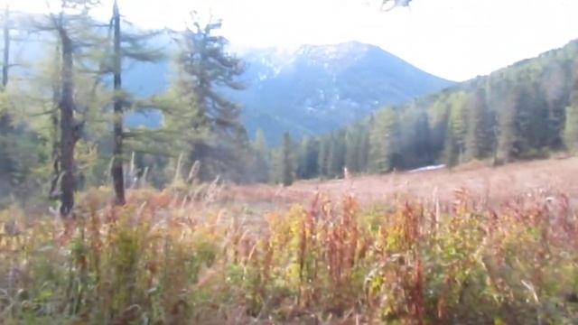 привал на охоте смотреть онлайн