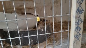 Что то пошло не так .VID_20250423_102248.mp4