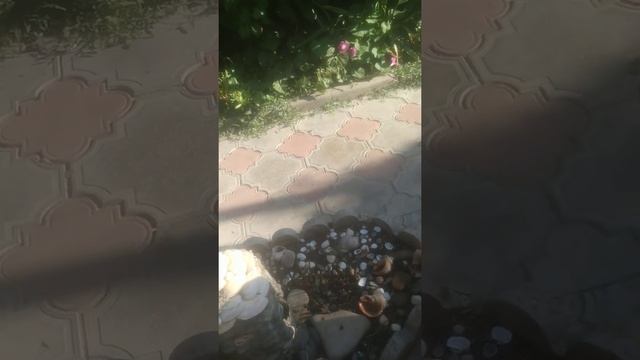 Станица Голубицкая.Сентябрь 2020 смотреть онлайн