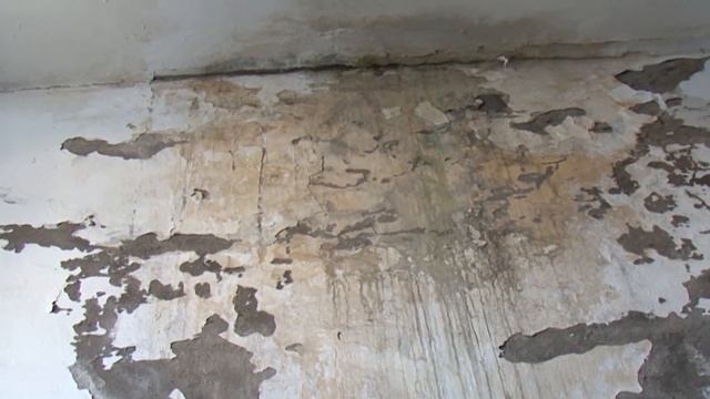 У 5 коммунальных нянек - дом вонючий смотреть онлайн
