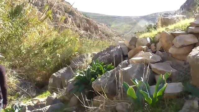 Вади Кельт - Нахаль Прат смотреть онлайн