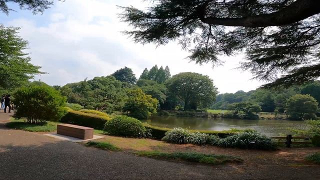 Куда можно сбежать от Токийской городской суеты - Синдзюку Гёэн. смотреть онлайн