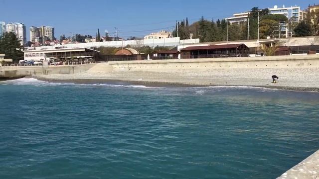 Море, Сочи, 9.03.17 смотреть онлайн