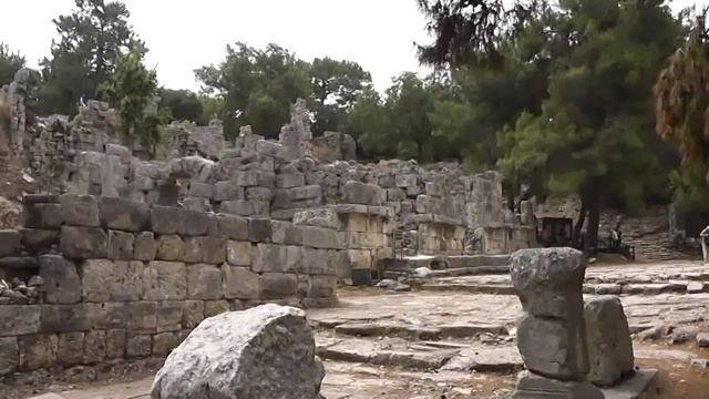 Фазелис видео смотреть онлайн