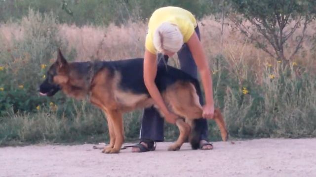 20140906 190945 смотреть онлайн